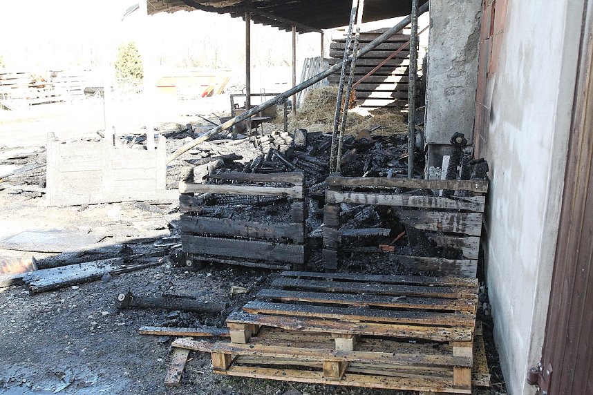 Brand im Greu&szlig;ener Gartencenter