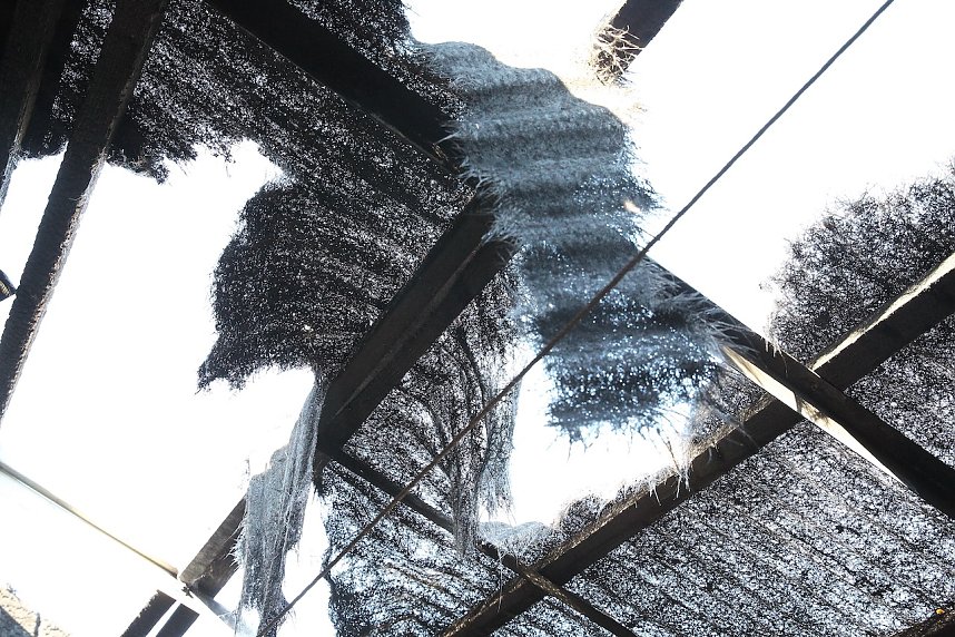 Brand im Greu&szlig;ener Gartencenter