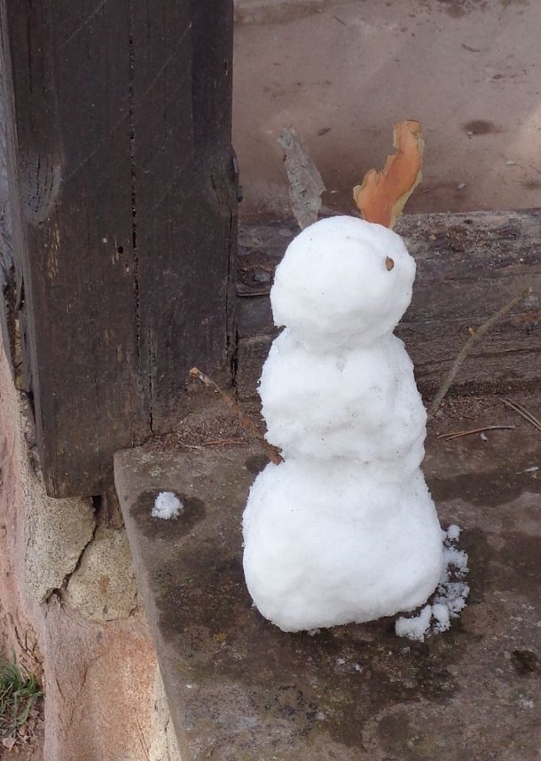 Fr&uuml;hjahrsputz der Judokas