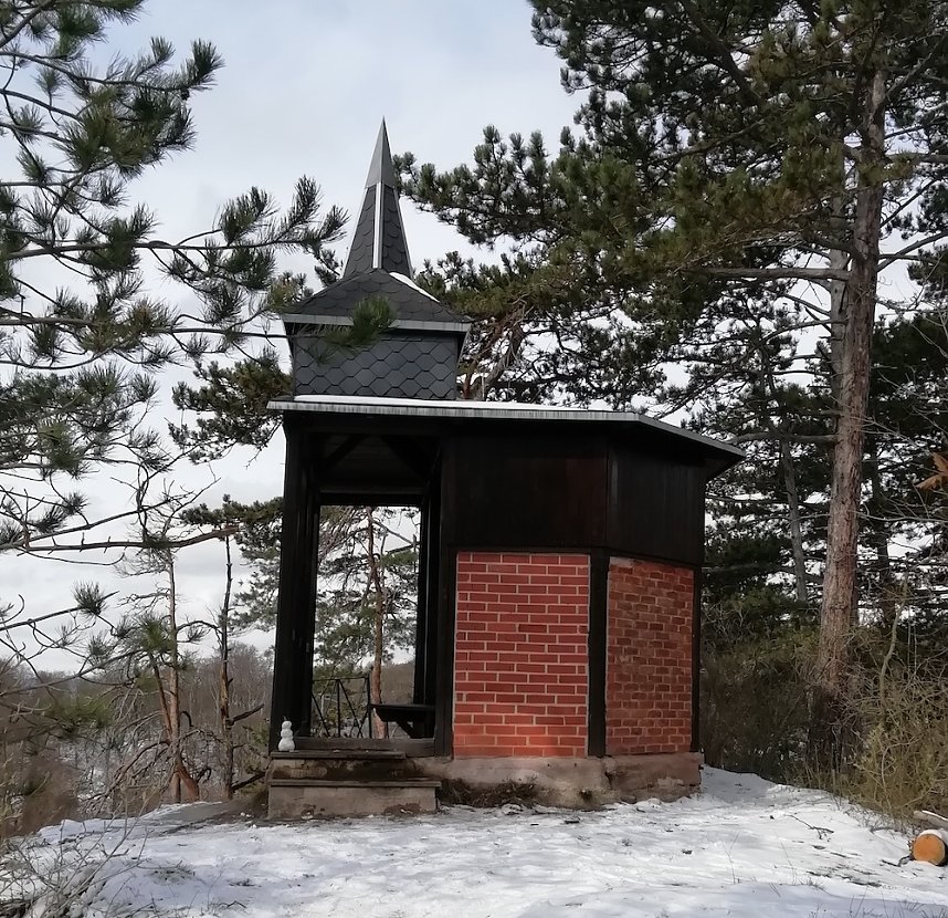 Fr&uuml;hjahrsputz der Judokas