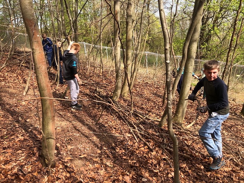Affengeburtstag und Putzaktion im Affenpark Strau&szlig;berg
