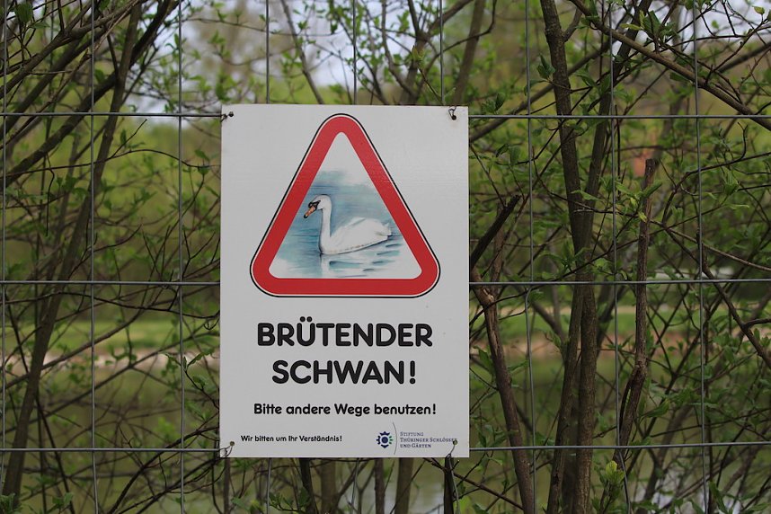 Absperrung um das Schwanennest im Sondersh&auml;user Schlosspark