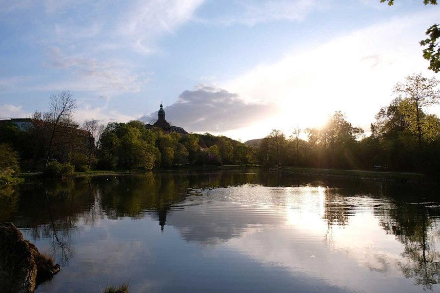 Sie br&uuml;ten noch!