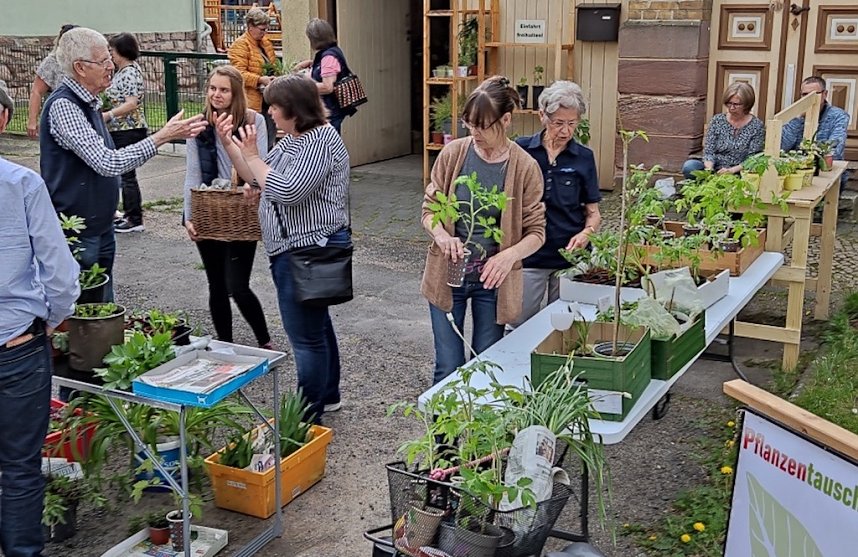 Pflanzentauschb&ouml;rse in Bad Frankenhausen