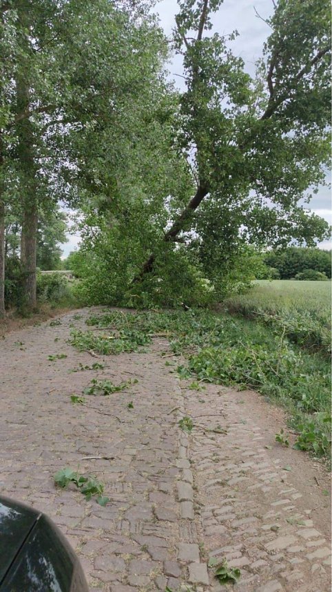 Erdrutsch zwischen Bottendorf und Donndorf