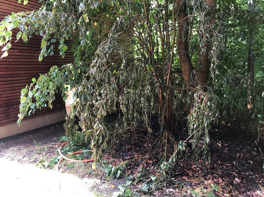 Fahrl&auml;ssige Brandstiftung auf dem Possen