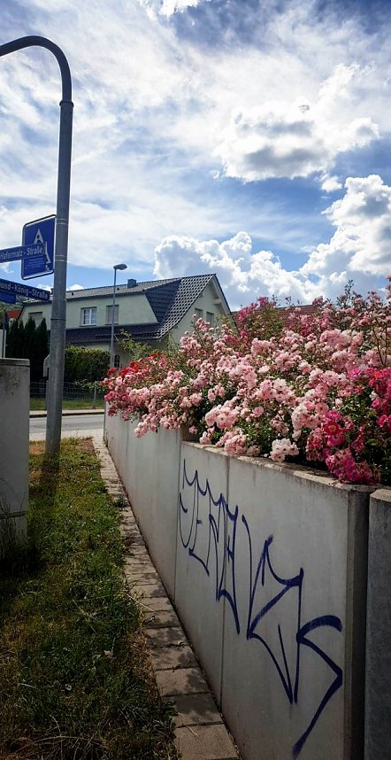 Die FAU wird die Stadtteilarbeit ausweiten