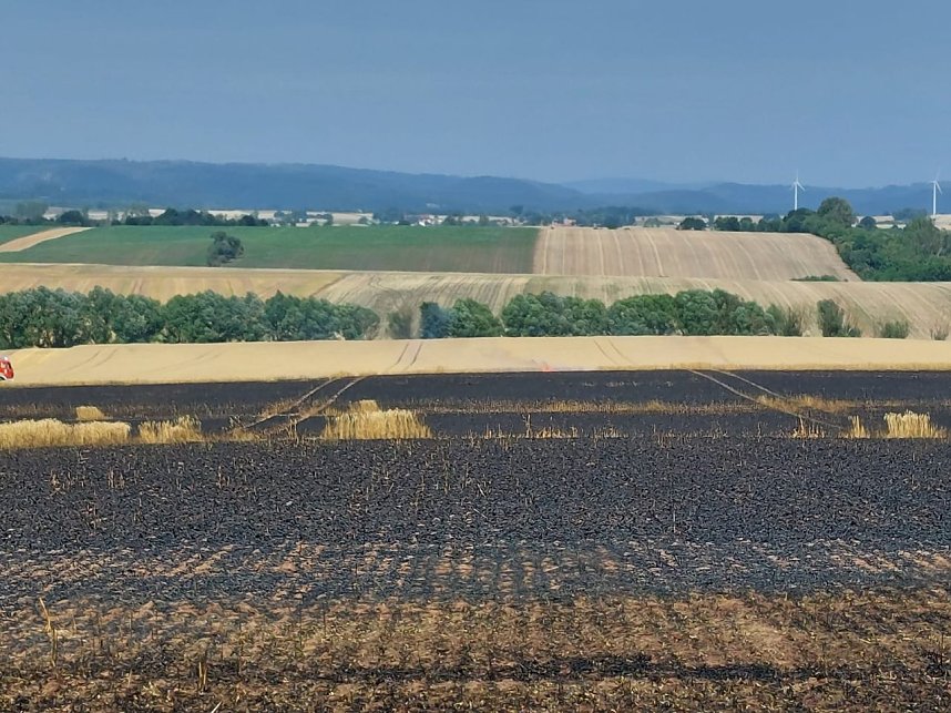 Fl&auml;chenbrand bei Trebra
