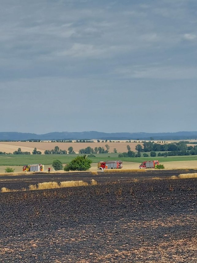 Fl&auml;chenbrand bei Trebra