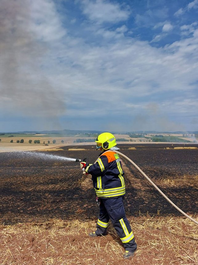 Fl&auml;chenbrand bei Trebra