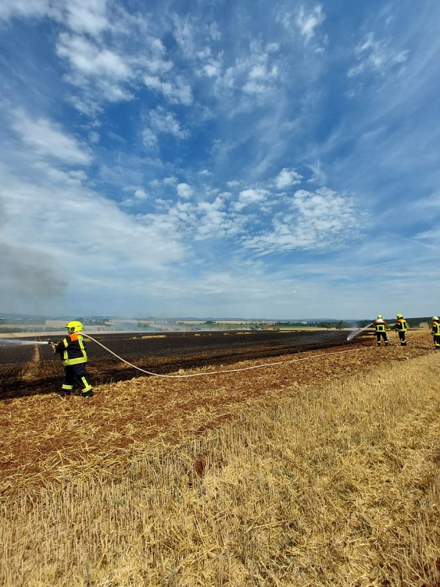 Fl&auml;chenbrand bei Trebra
