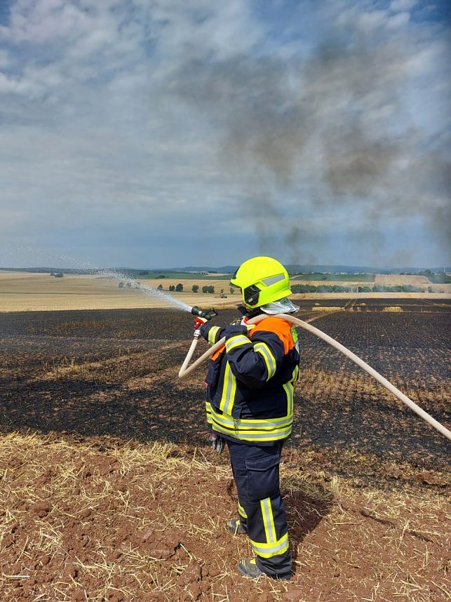 Fl&auml;chenbrand bei Trebra