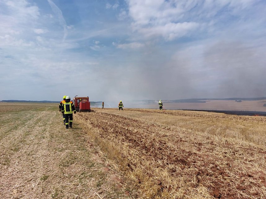 Fl&auml;chenbrand bei Trebra