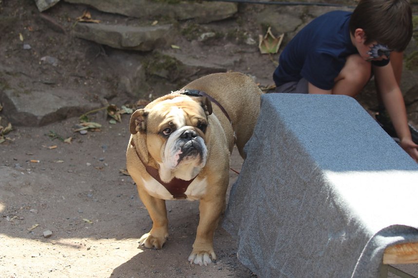 Mittelalterspektakel am Kyffh&auml;user Denkmal 