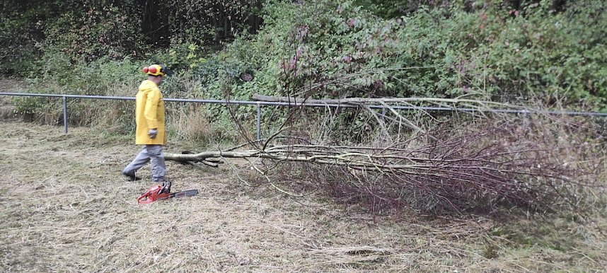 Sportplatz im Borntal wurde durch viele flei&szlig;ige H&auml;nde vom Unrat befreit