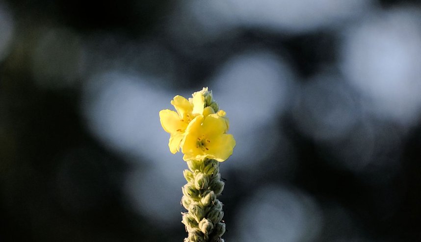 Abendliche Impressionen im Fr&uuml;hherbst