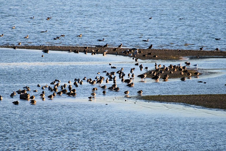 Abendliche Impressionen im Fr&uuml;hherbst