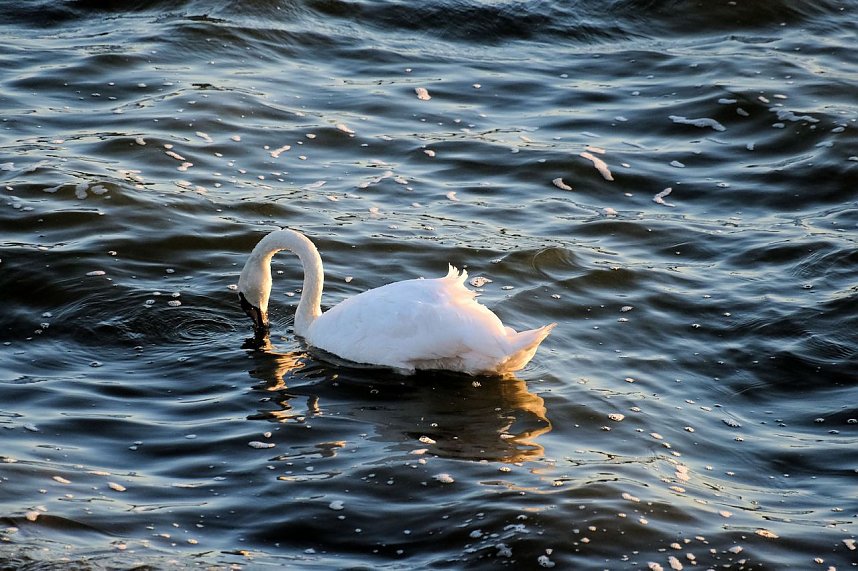 Abendliche Impressionen im Fr&uuml;hherbst