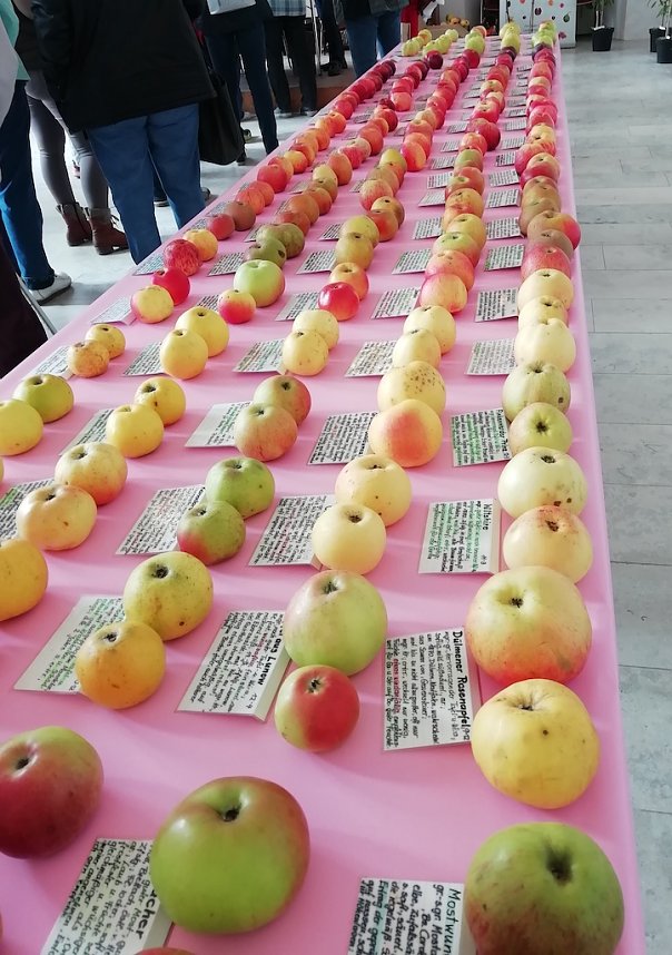 Au&szlig;ergew&ouml;hnliche Obstsorten werden in der Orangerie in Bendeleben gezeigt