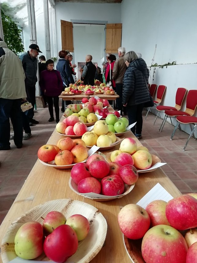 Obstsortentag in der Orangerie