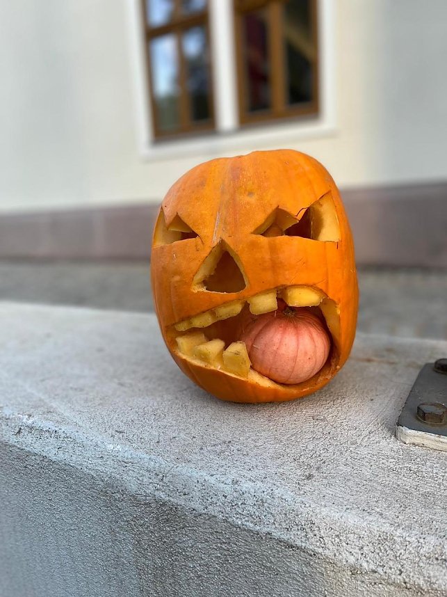 Jeder einzelne K&uuml;rbis ist ein kleines Kunstwerk