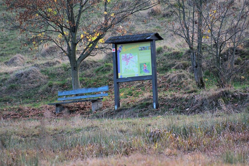 Peter Blei unterwegs im Harz