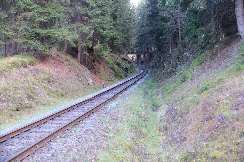 Peter Blei unterwegs im Harz