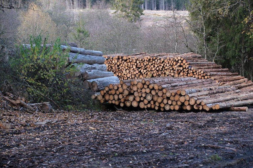 Peter Blei unterwegs im Harz
