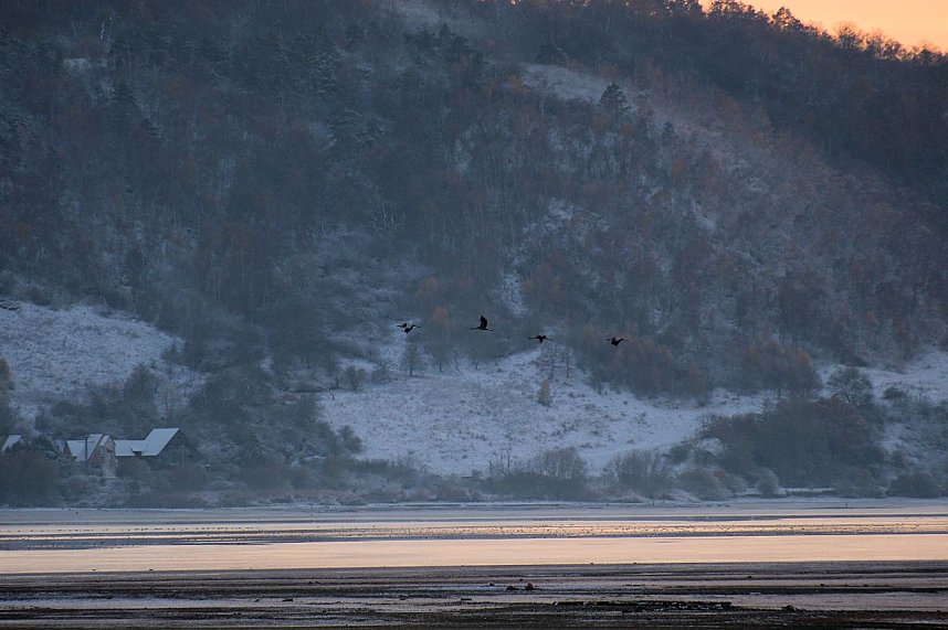 Peter Blei unterwegs im Schnee