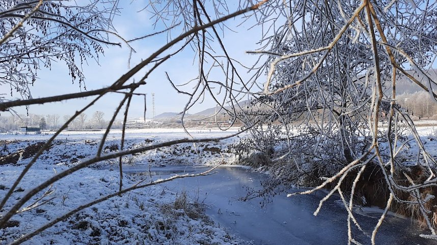 Winterimpressionen, aufgenommen an der Wipper