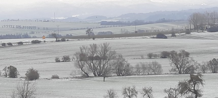 Beim Spaziergang aufgenommen