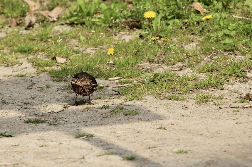 Jahresr&uuml;ckblick 2022 - Kyffh&auml;userkreis
