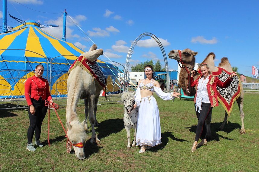 Jahresr&uuml;ckblick 2022 - Kyffh&auml;userkreis