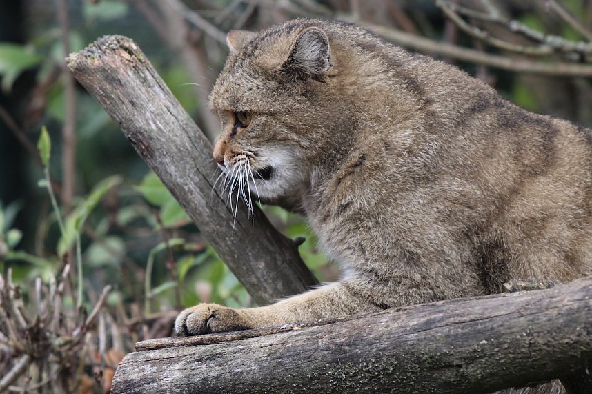 Jahresr&uuml;ckblick 2022 - Kyffh&auml;userkreis