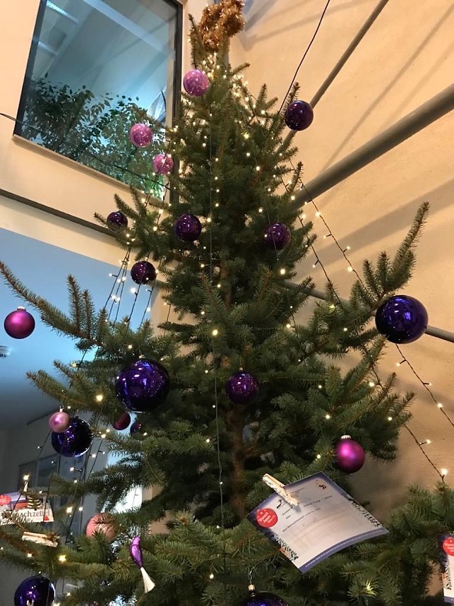 Jahresr&uuml;ckblick 2022 - Kyffh&auml;userkreis