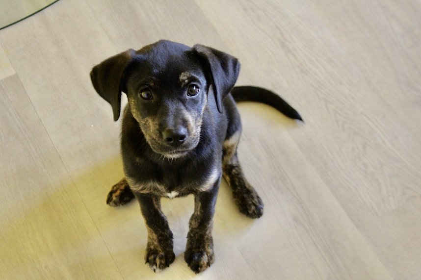 Jahresr&uuml;ckblick 2022 - Kyffh&auml;userkreis