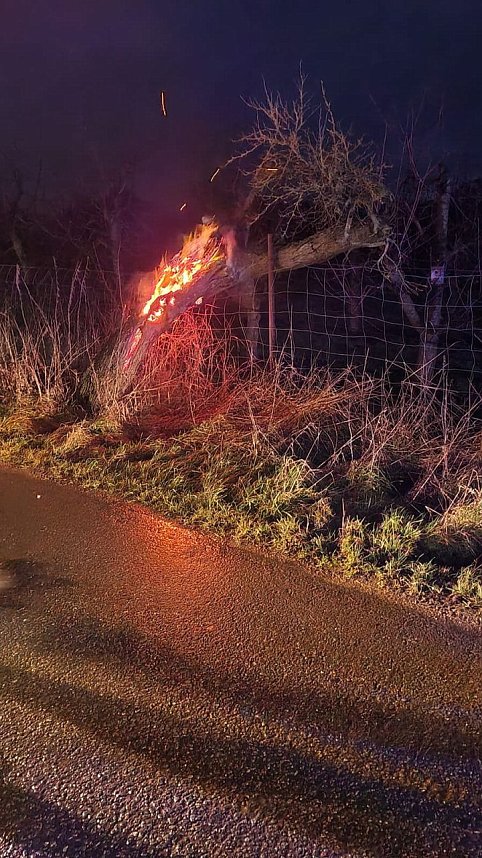Brennender Baum auf der Trebraer Stra&szlig;e