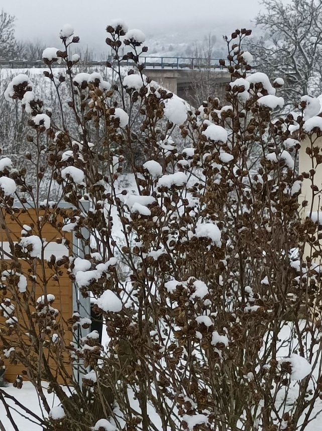 Spaziergang im Schnee