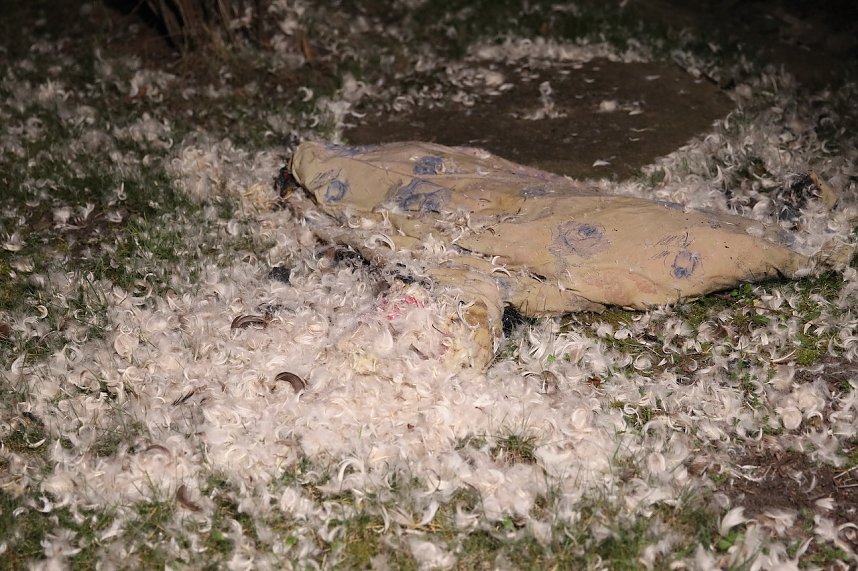 Brand in Sondershausen