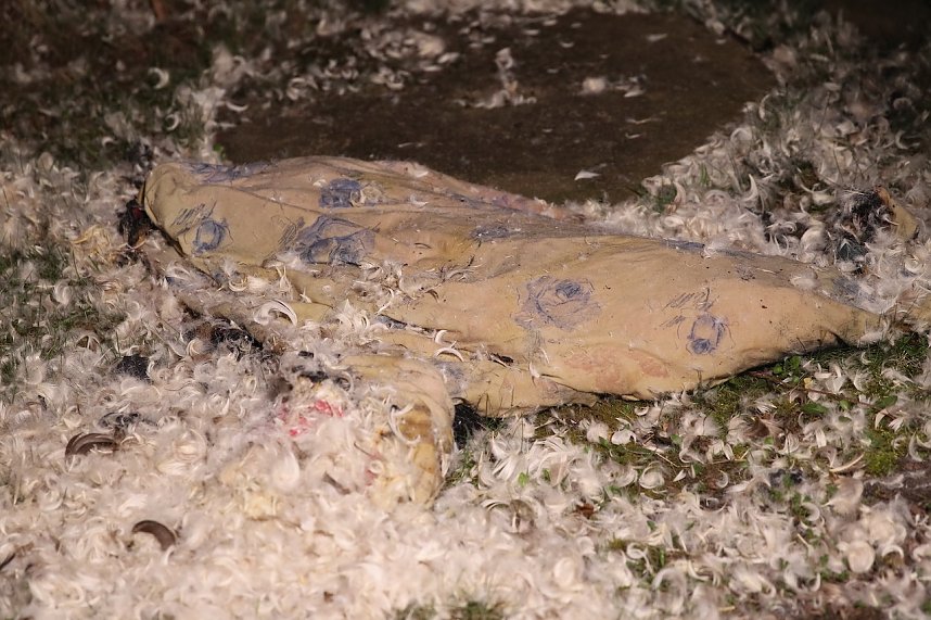 Brand in Sondershausen