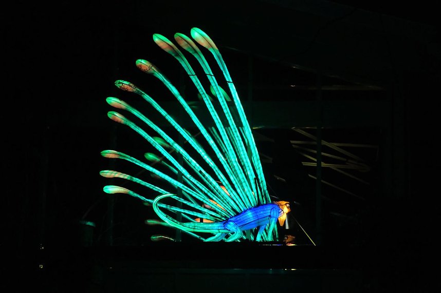 Peter Blei in den magischen Lichterwelten