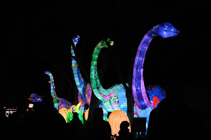 Peter Blei in den magischen Lichterwelten