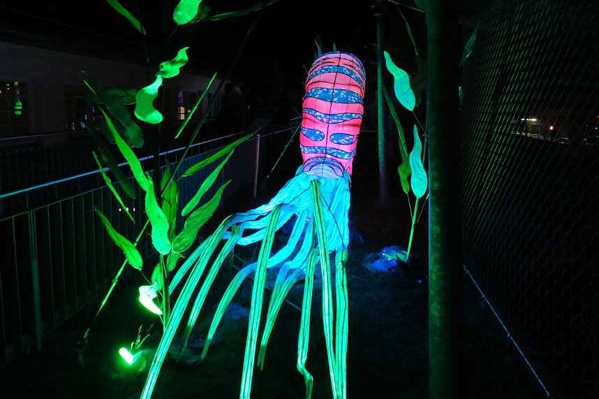 Peter Blei in den magischen Lichterwelten