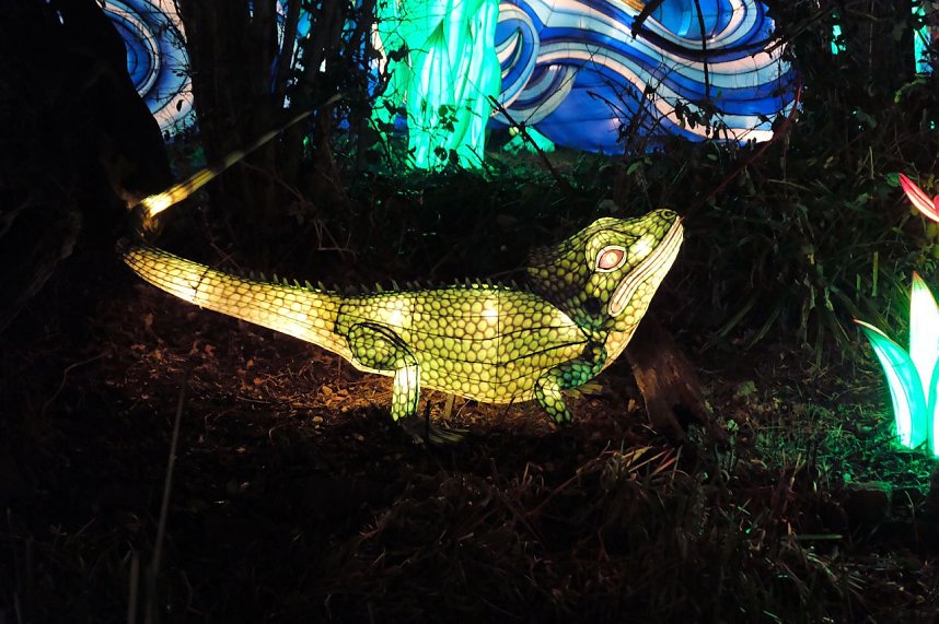 Peter Blei in den magischen Lichterwelten