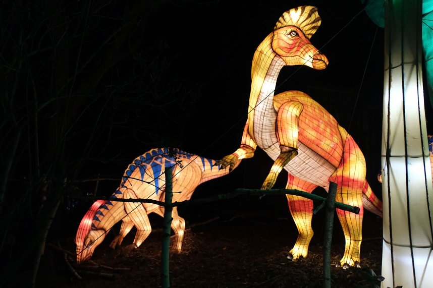 Peter Blei in den magischen Lichterwelten