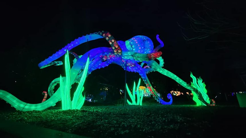 Peter Blei in den magischen Lichterwelten