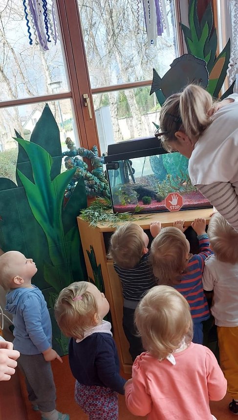 Projekttag "Dem Wasser auf der Spur" in der Kindervilla Bad Frankenhausen