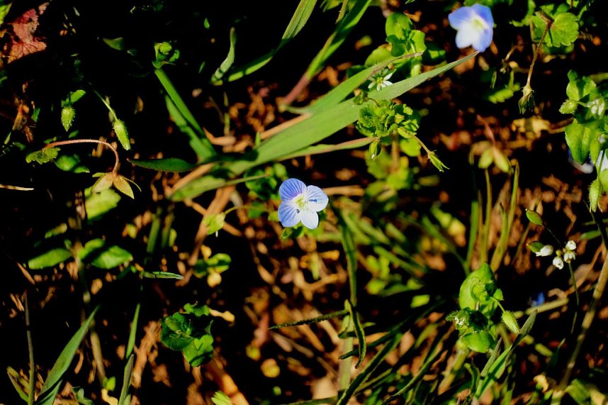 Osterspaziergang im Vorharz