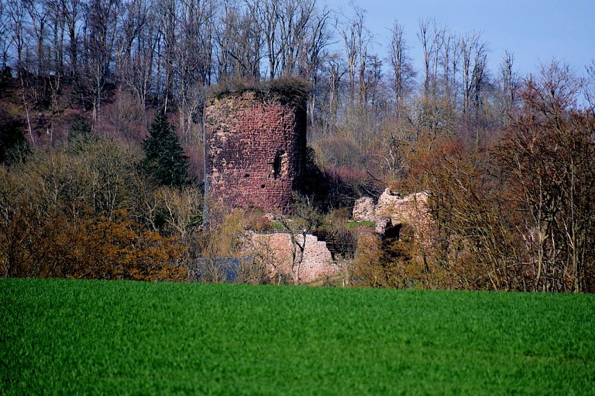 Osterspaziergang im Vorharz