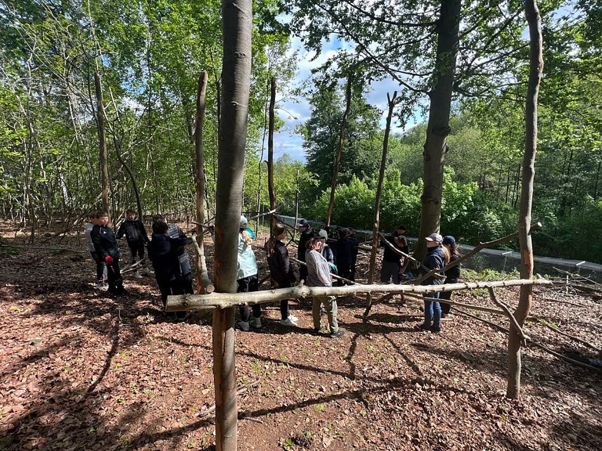 Sch&uuml;lerinnen und Sch&uuml;ler der 7. Klasse der Franzbergschule bauen ein neues Kletterger&uuml;st f&uuml;r die Kattas im Affenwald Strau&szlig;berg